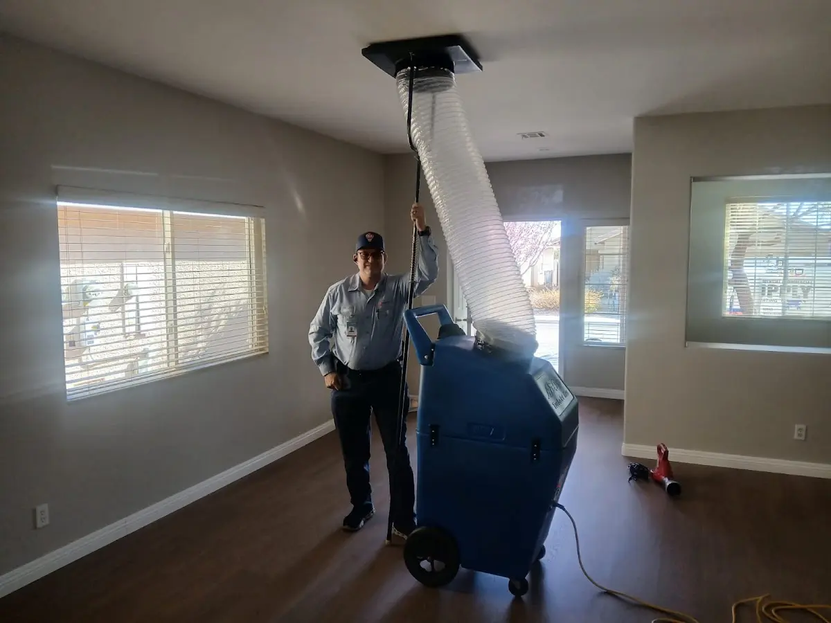 Professional Dryer Vent Cleaning work inside a Dennis home
